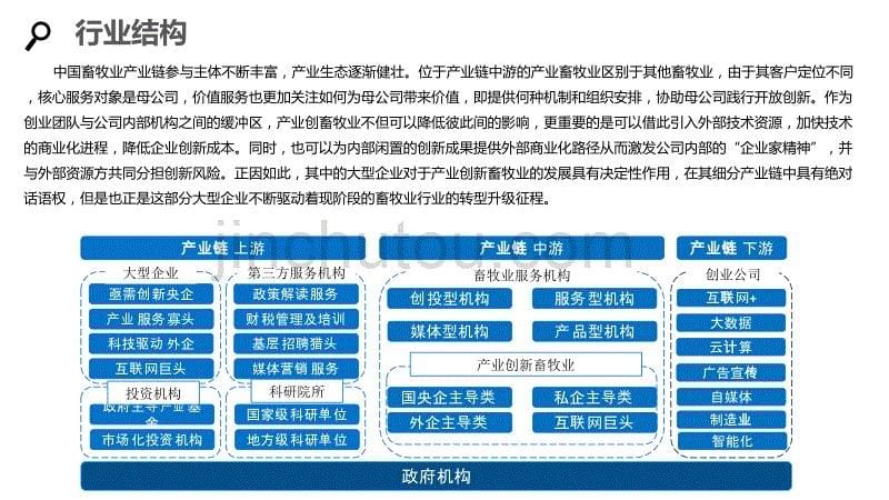 2020畜牧业行业分析投资报告_第5页