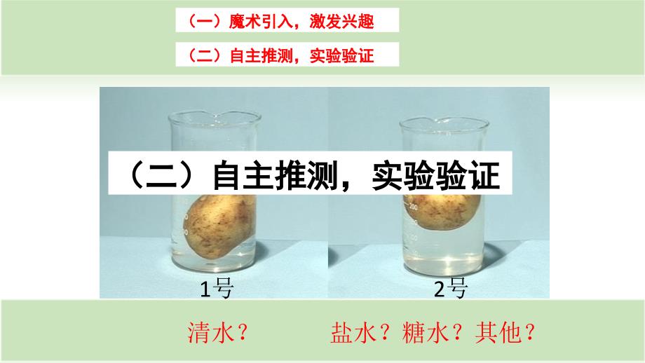 五年级下册科学课件-1.7马铃薯在液体中的沉浮｜教科版 (共14张PPT)_第3页