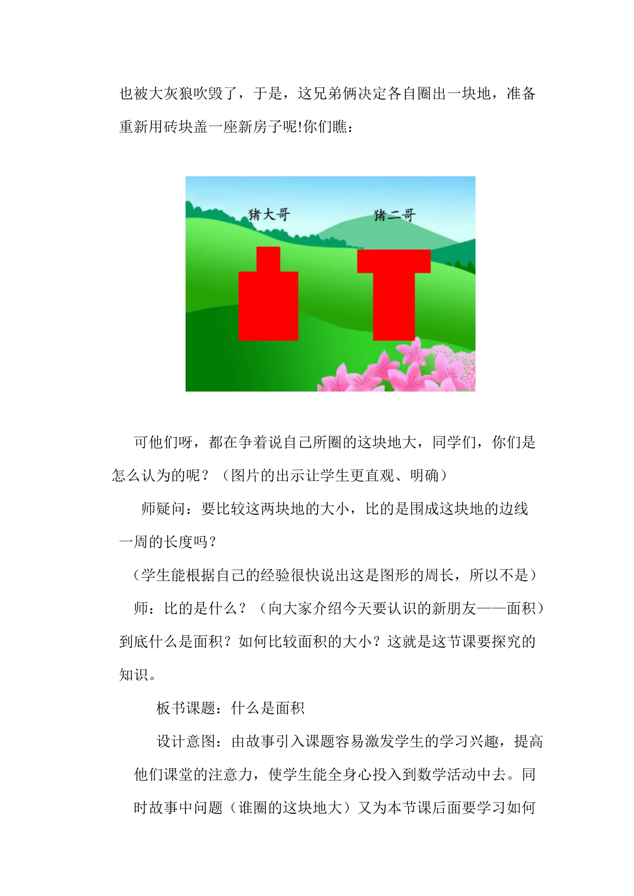 什么是面积教学设计详案_第2页