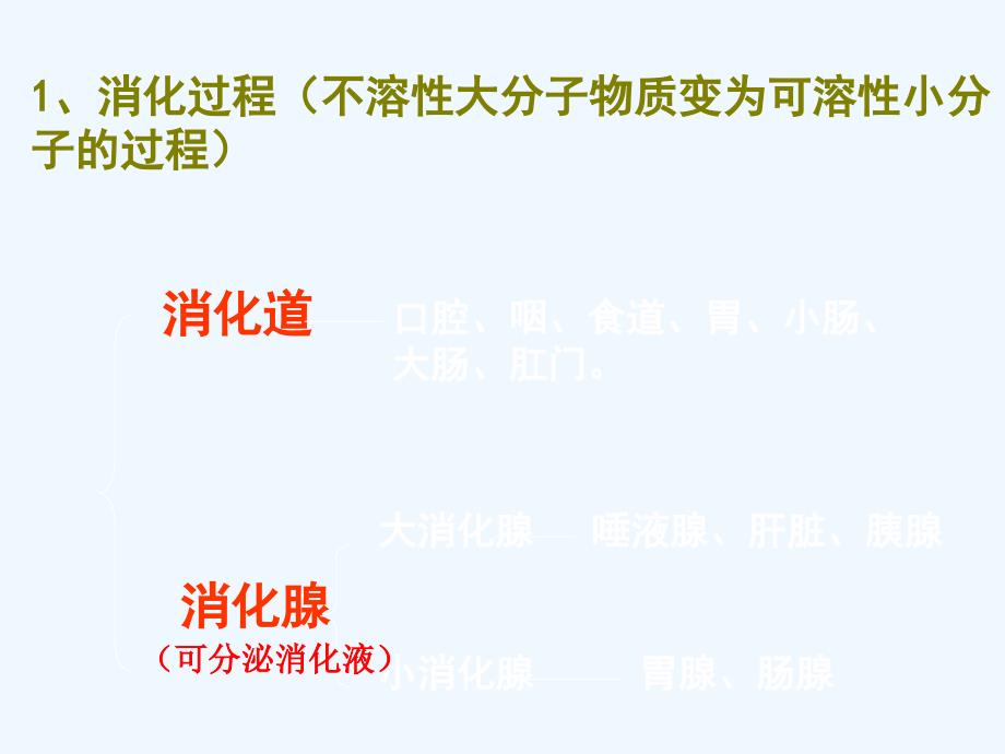 七年级下册生物食物的消化与吸收公开课_第1页