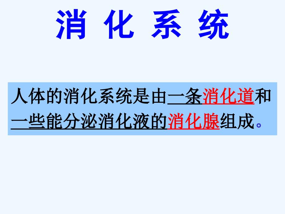 七年级下册生物食物的消化与吸收公开课_第4页