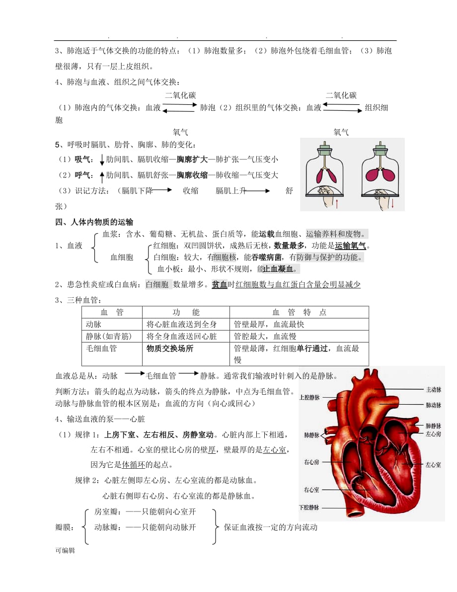 人版2018七年级生物[下册]复习提纲_第3页