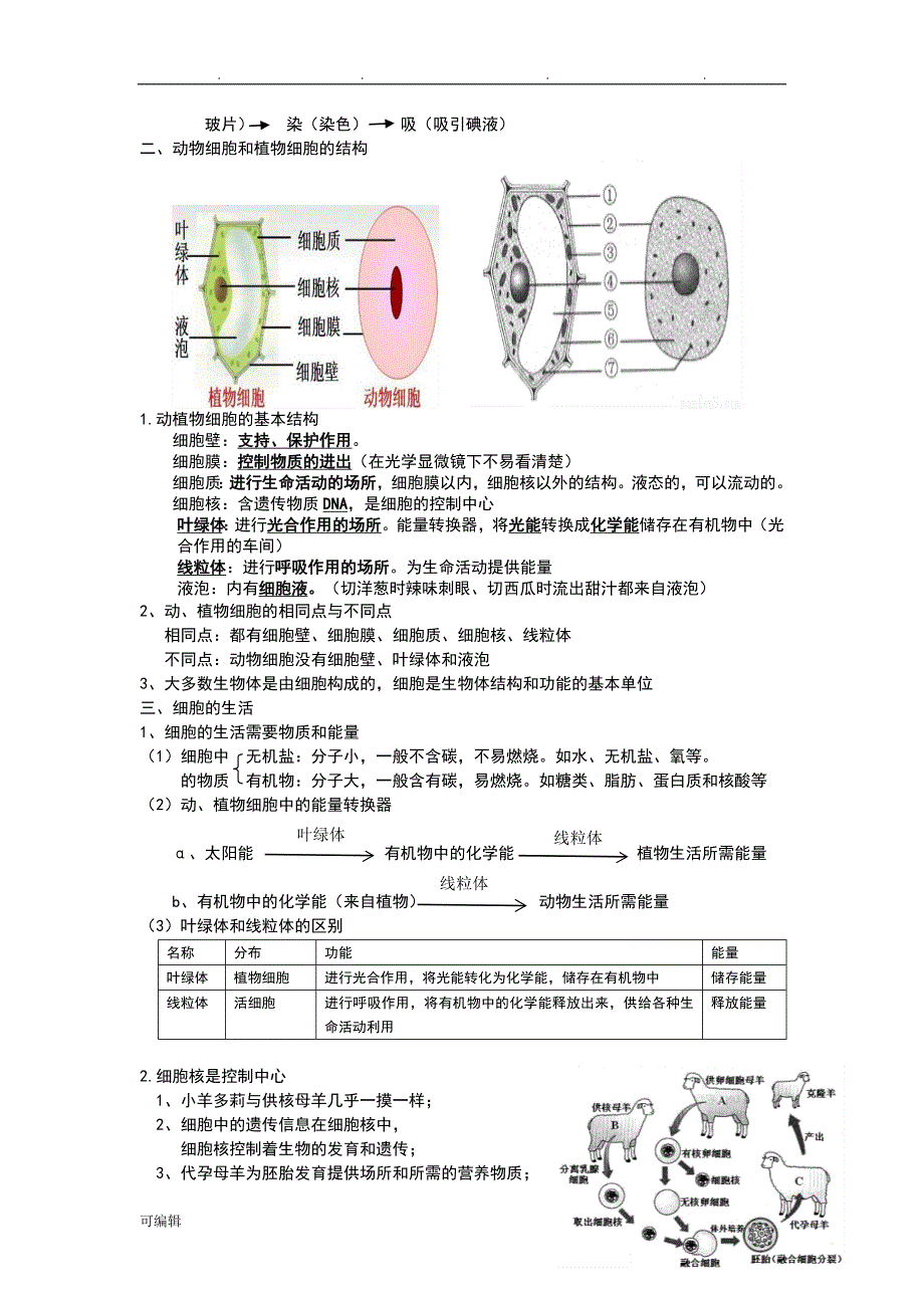 九年级生物复习教（学）案[全册]_第4页