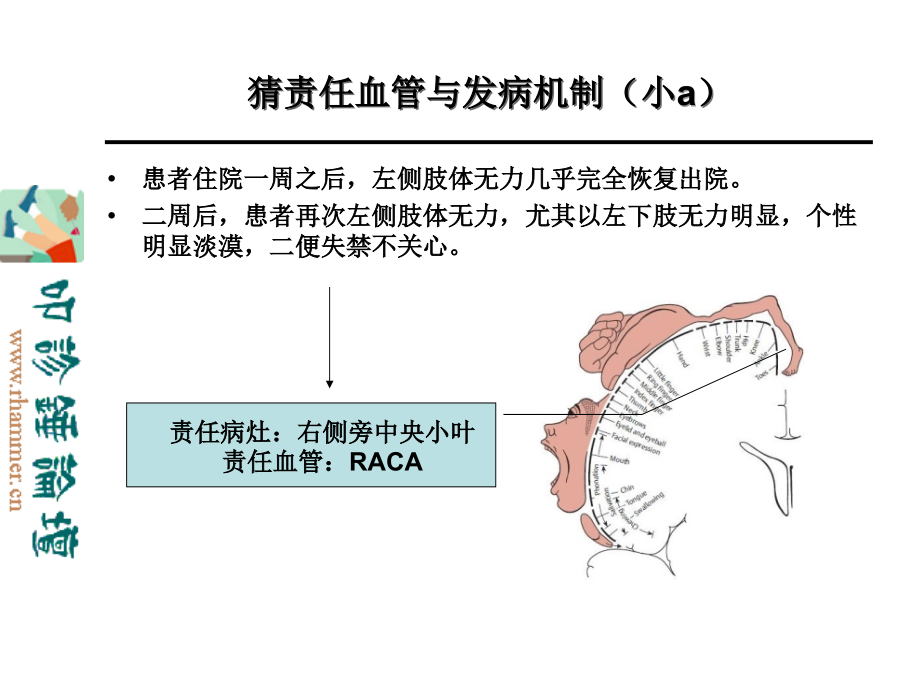 最新 从影像学梗死部位推测责任供血血管_第3页