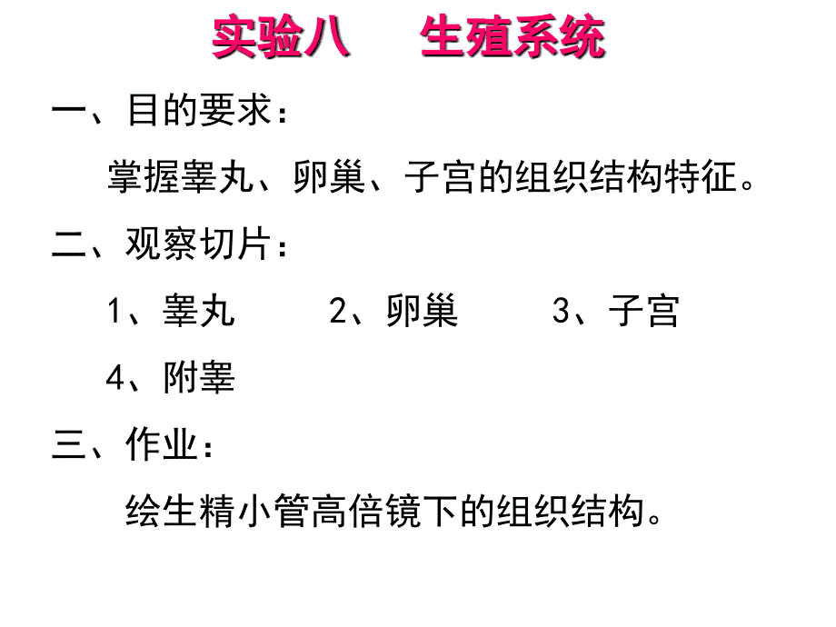 最新 生殖系统实验1_第1页