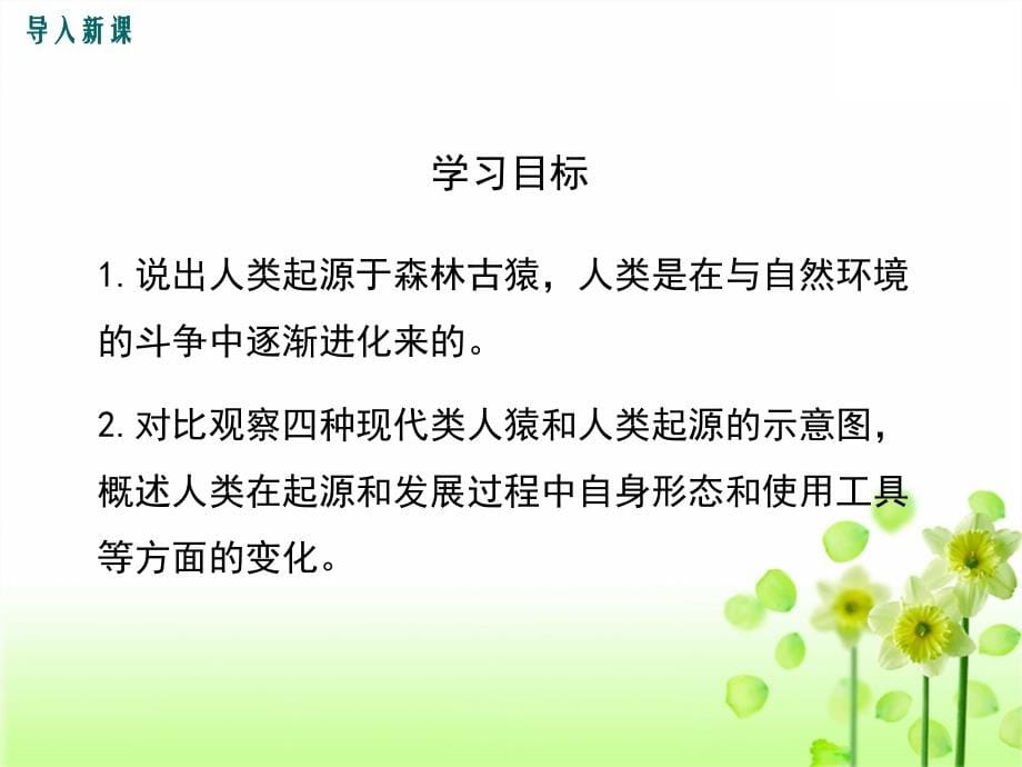 人教版七年级下学期生物全套课件分课时详细版_第5页