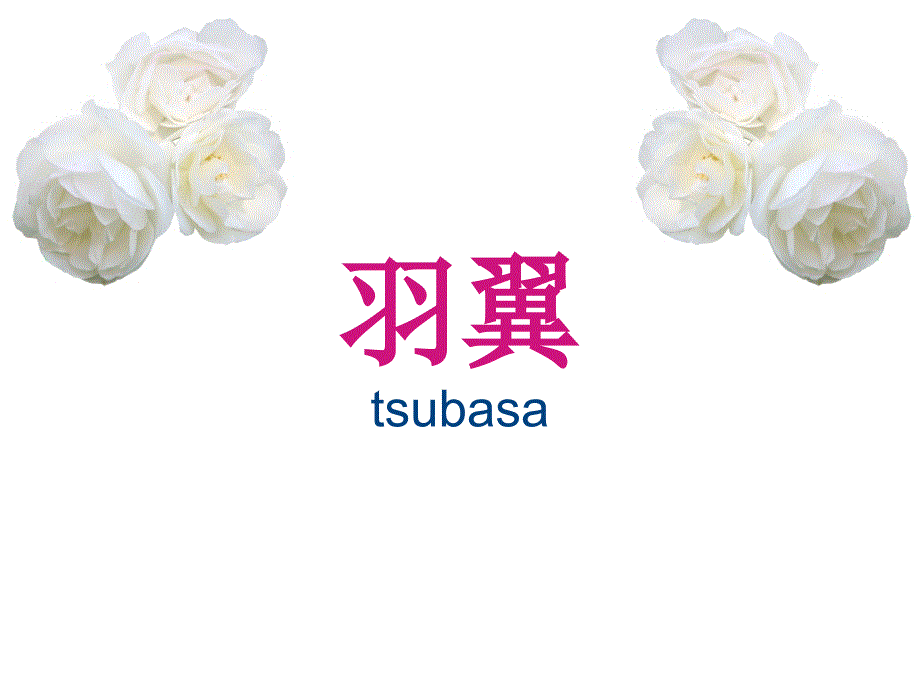 Tsubasa羽翼（52100）_第1页
