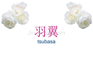 Tsubasa羽翼（52100）