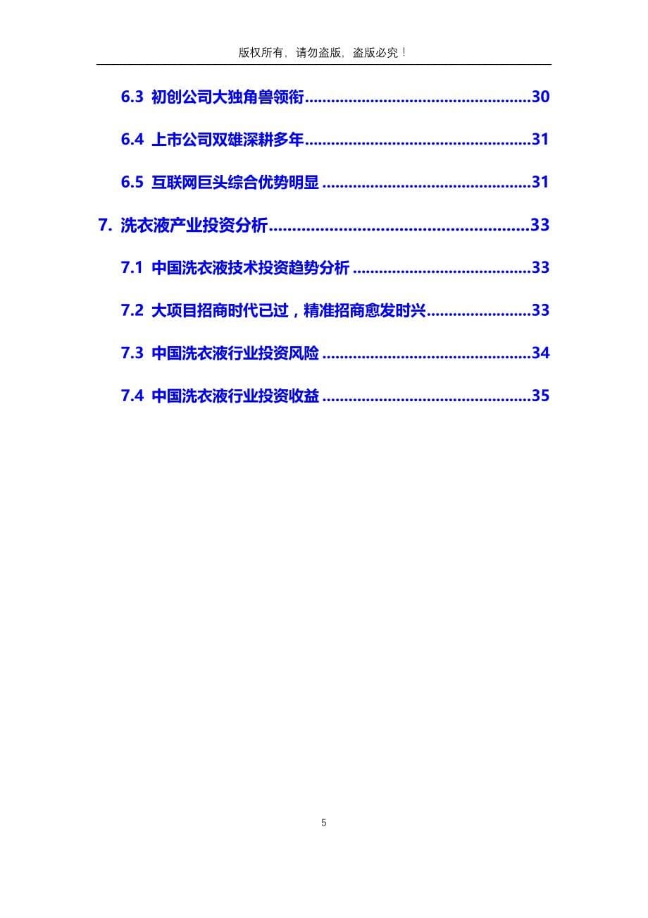 2020年洗衣液行业分析调研报告_第5页