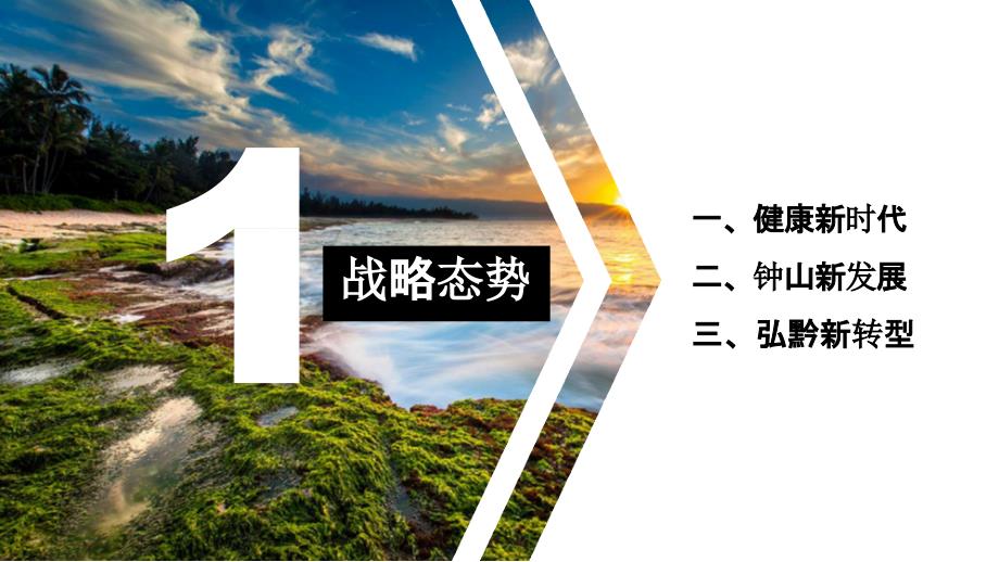 【房地产特色小镇】贵州六盘水钟山区健康养生小镇项目_第3页