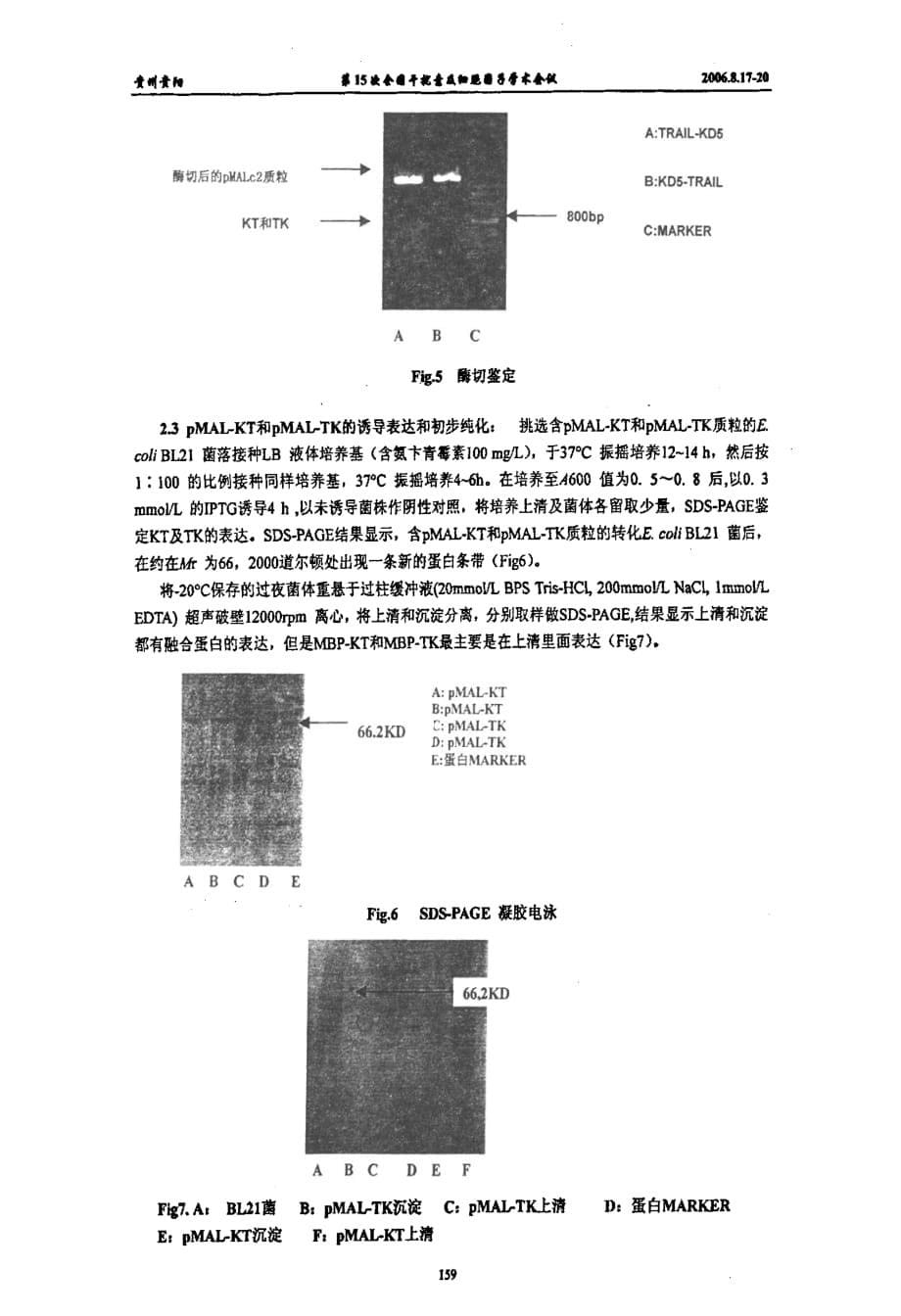 kininogen d5和trail融合蛋白的克隆表达和生物学活性的研究_第5页