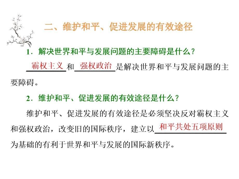 2020届高考政治二轮复习课件：专题八 当代国际社会（2）维护世界和平、促进共同发展_第5页