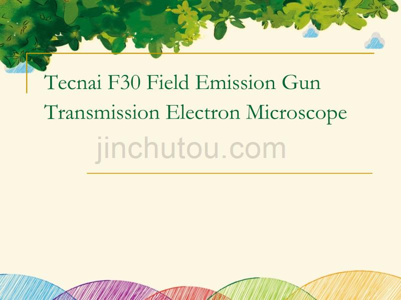 TECNAI F30场发射透射电镜操作标准规程_第2页