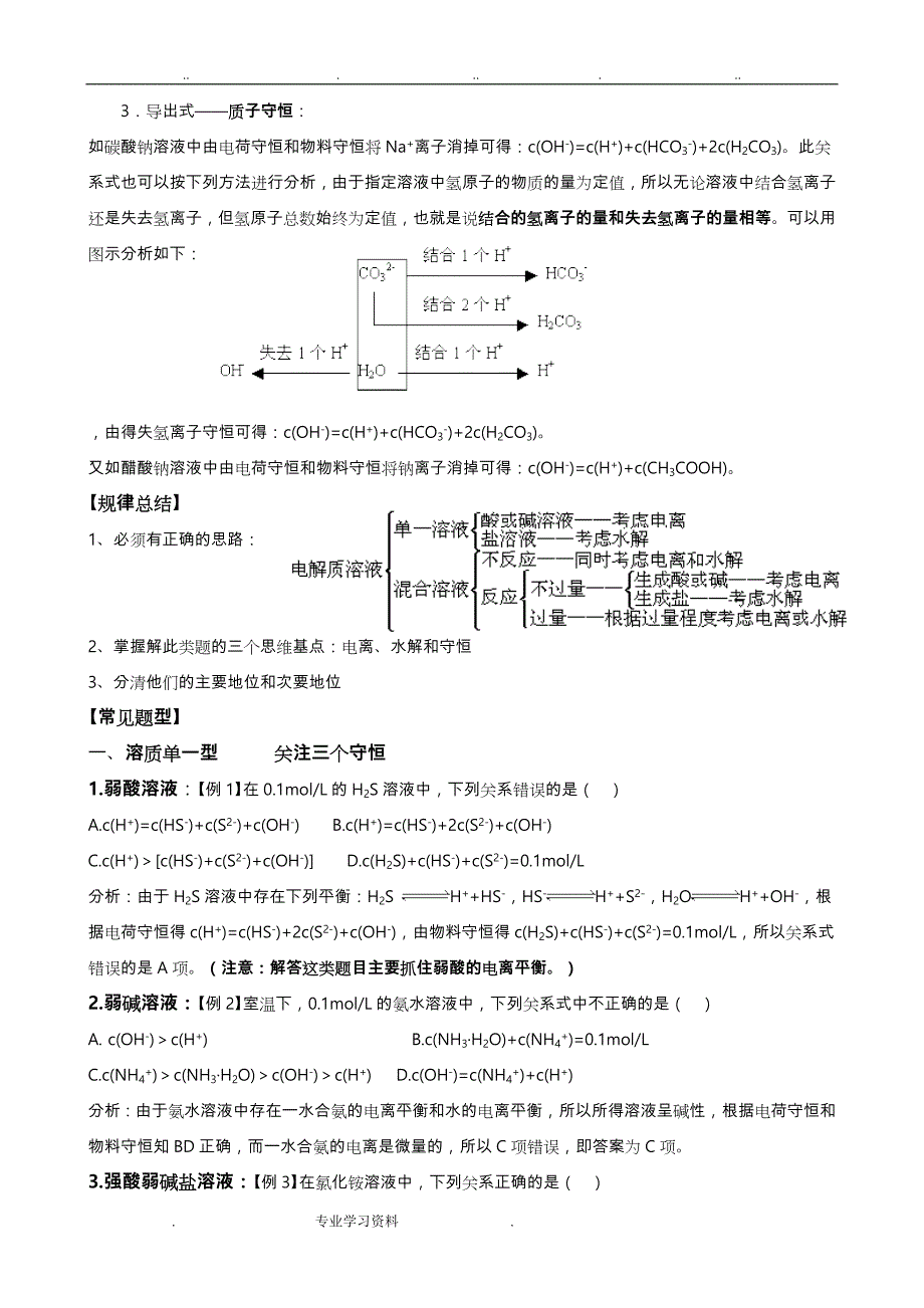 溶液中离子浓度大小比较总结归类(超全)13694_第2页