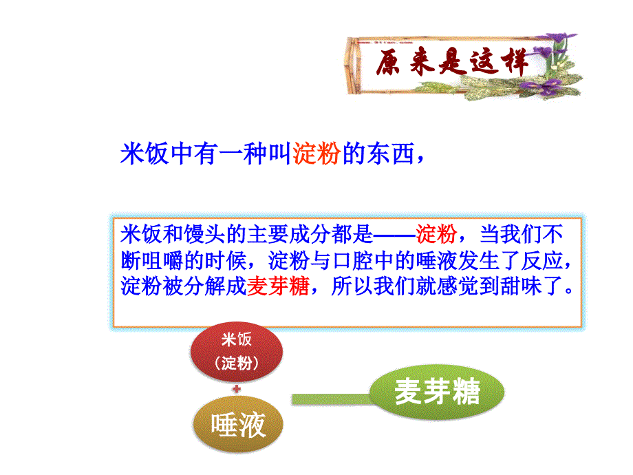 六年级下册科学课件- 2.3 米饭、淀粉和碘酒的变化｜ 教科版 (共16张PPT)_第3页