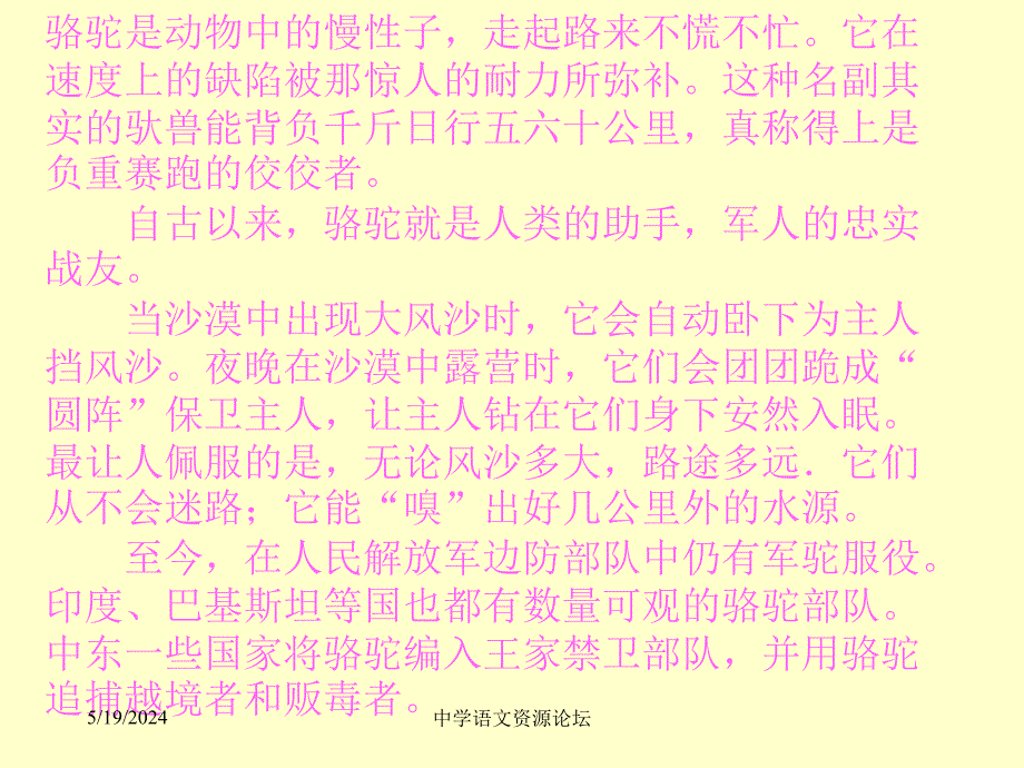 骆驼寻宝记课件（1）_第4页