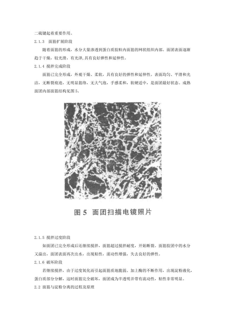 2019年面筋淀粉分离机与小麦淀粉工艺技术研究_第5页