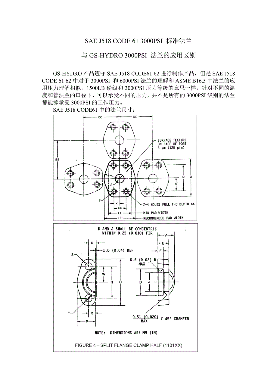 sae 3000psi 标准法兰与gs法兰的区别_第1页