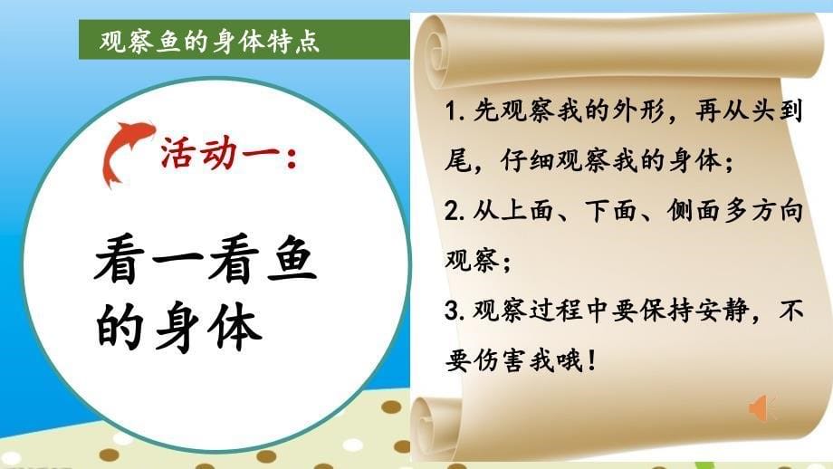 一年级上册科学课件-《9 观察金鱼》冀教版 (共15张PPT)_第5页