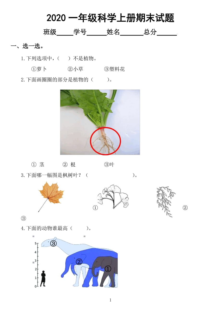 2020教科版小学科学一年级上册期末试卷2_第1页