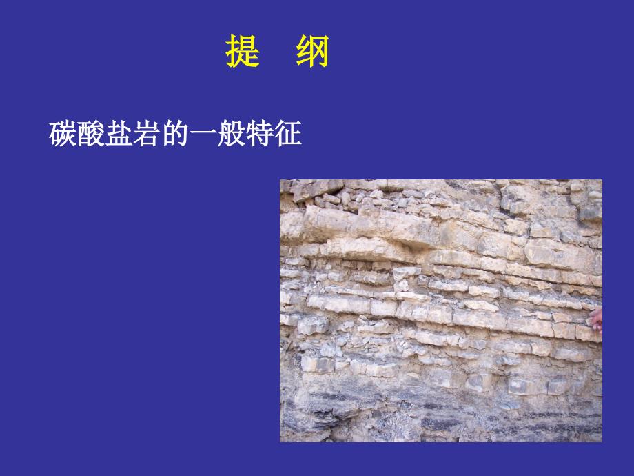 碳酸盐岩形成及类型_第1页