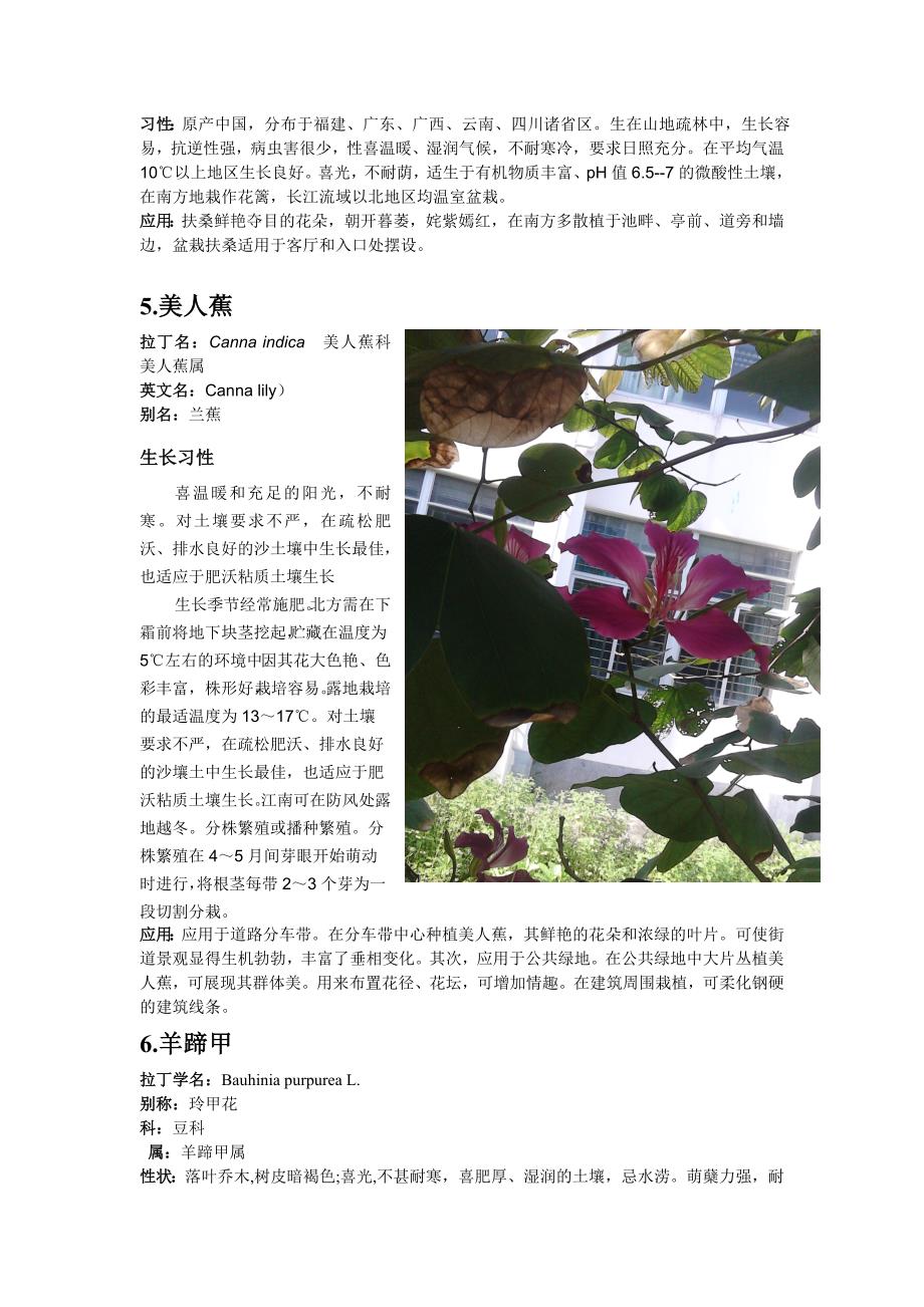 海南大学校内20种开花植物_第4页
