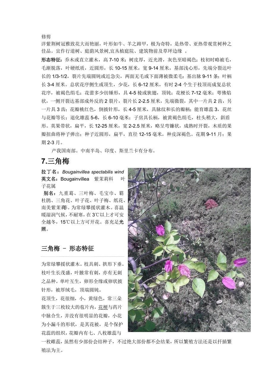 海南大学校内20种开花植物_第5页