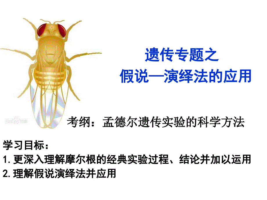 高考生物二轮复习假说—演绎法的应用_第2页