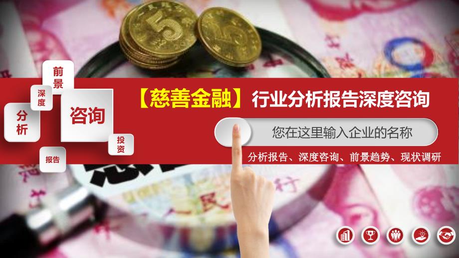 慈善金融行业分析报告深度咨询_第1页