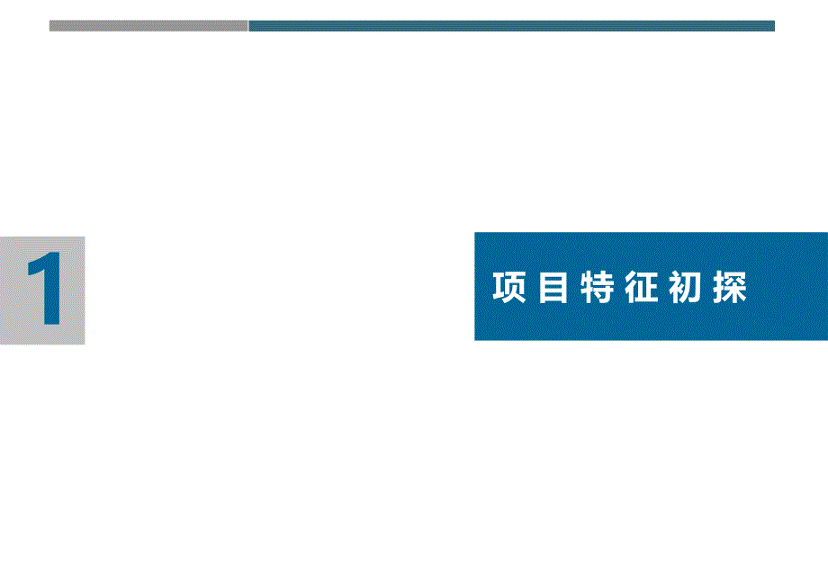 县城综合体营销策划报告200941225403900_第2页