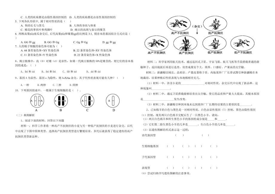 生物的遗传和变异》复习学案_第2页