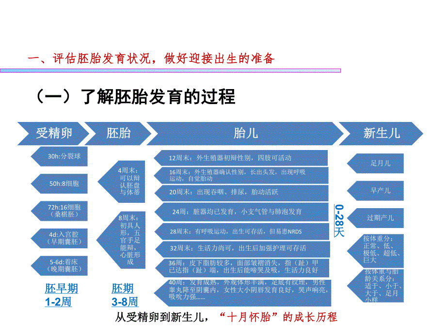 新生儿即时处理_第4页