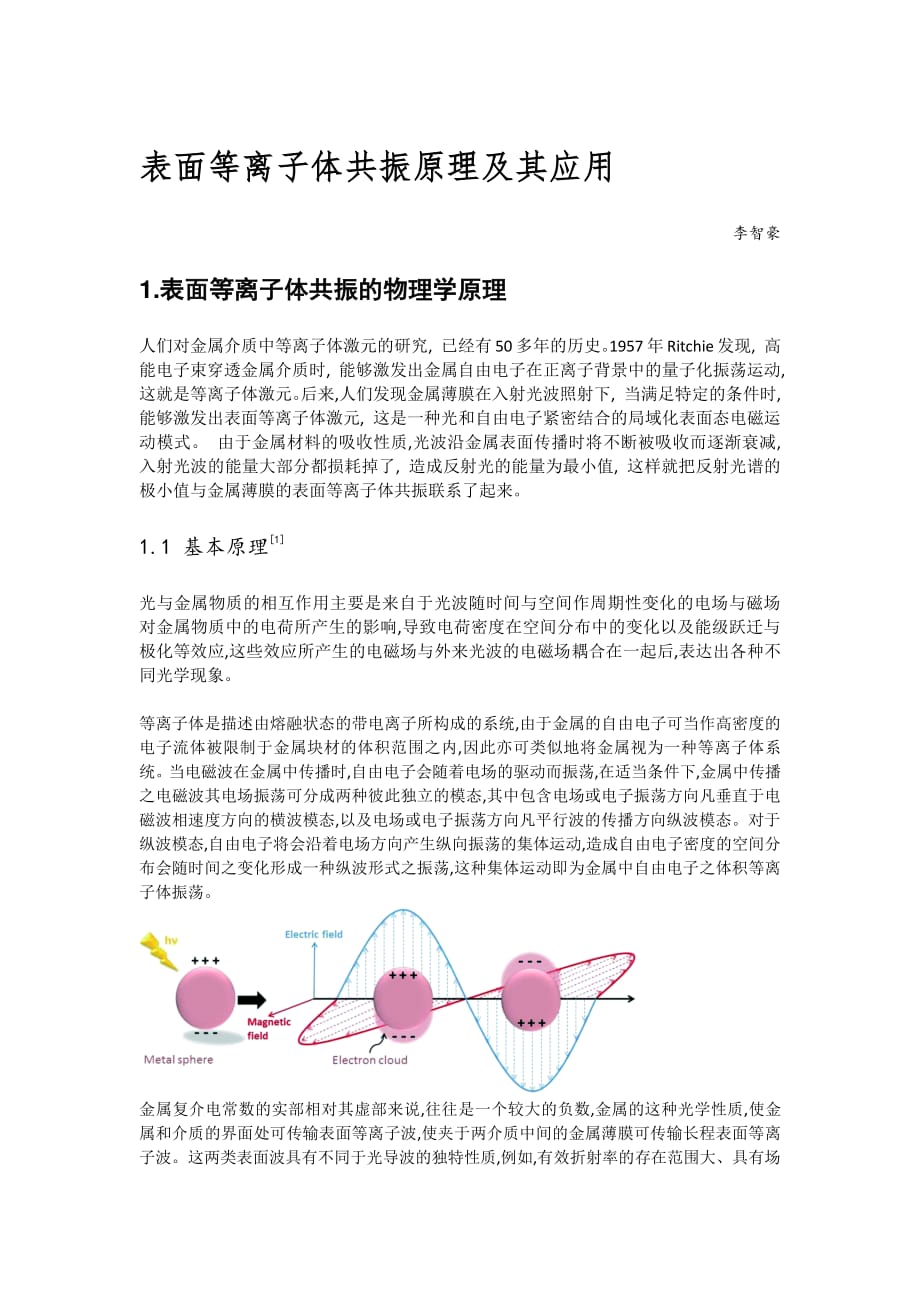 表面等离子体共振原理及其化学应用资料_第1页