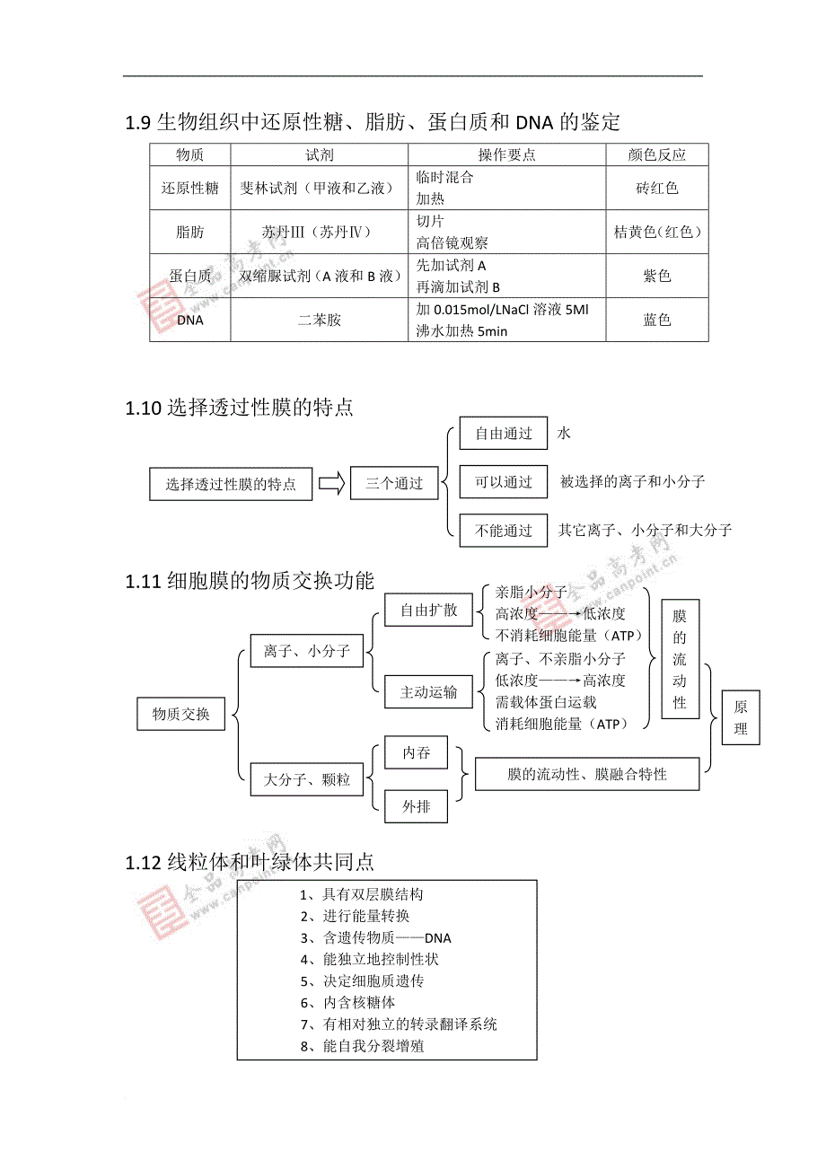 届高三生物第一轮复习知识结构网络图教案doc_第4页