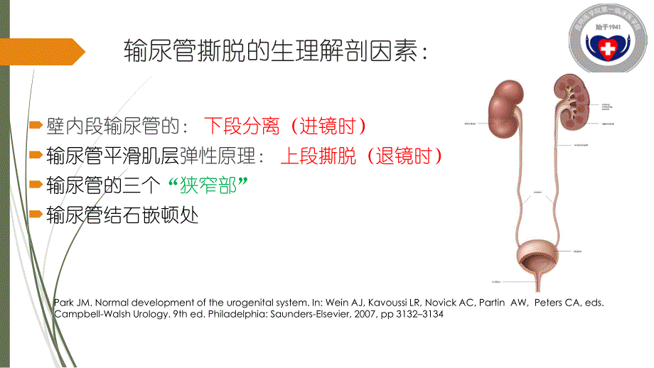 输尿管撕脱伤与肠代输尿管的手术治疗资料_第4页