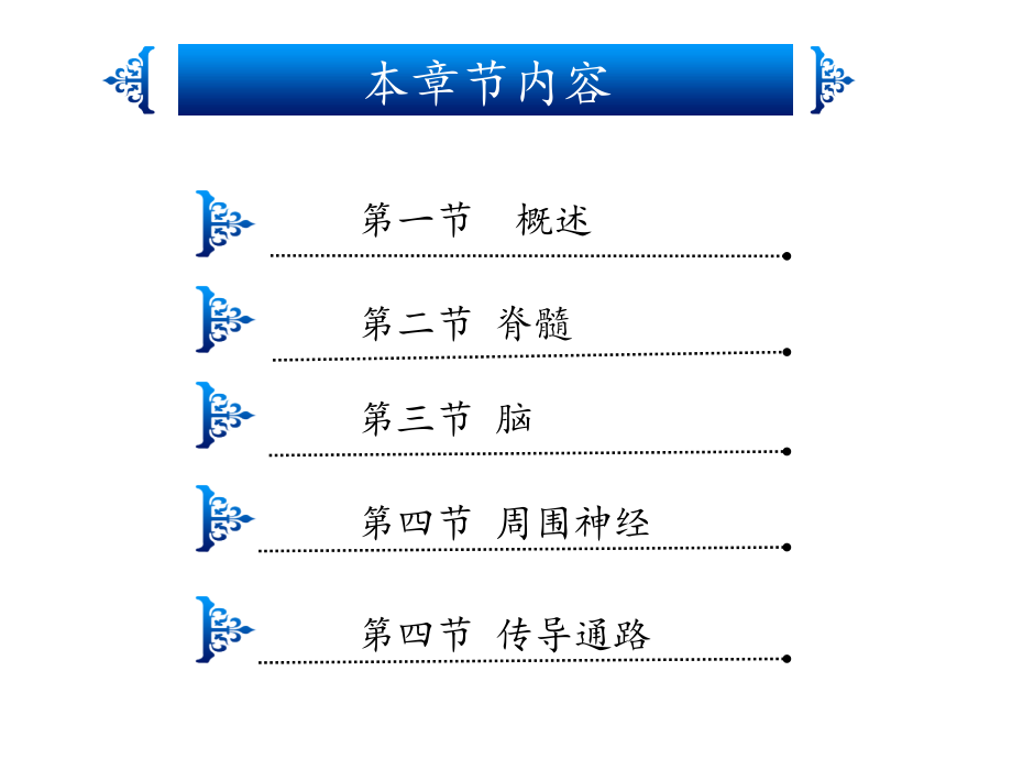 神经系统解剖资料_第2页