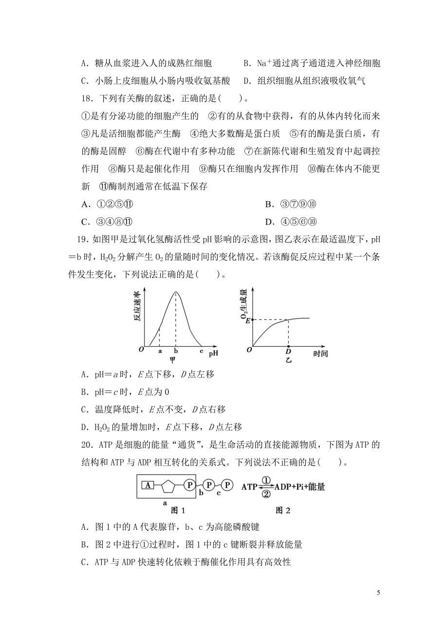 高中生物苏教版必修1期末测试题及答案资料_第5页