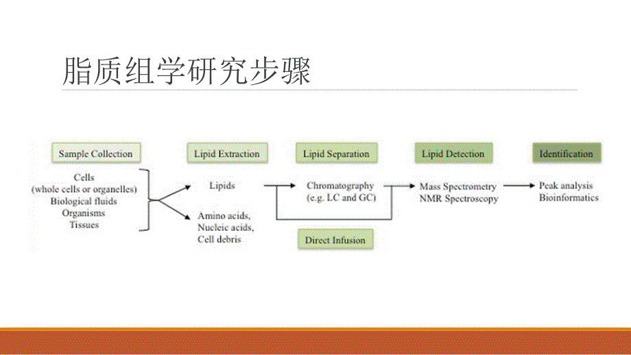 脂质组学简介与应用资料_第3页