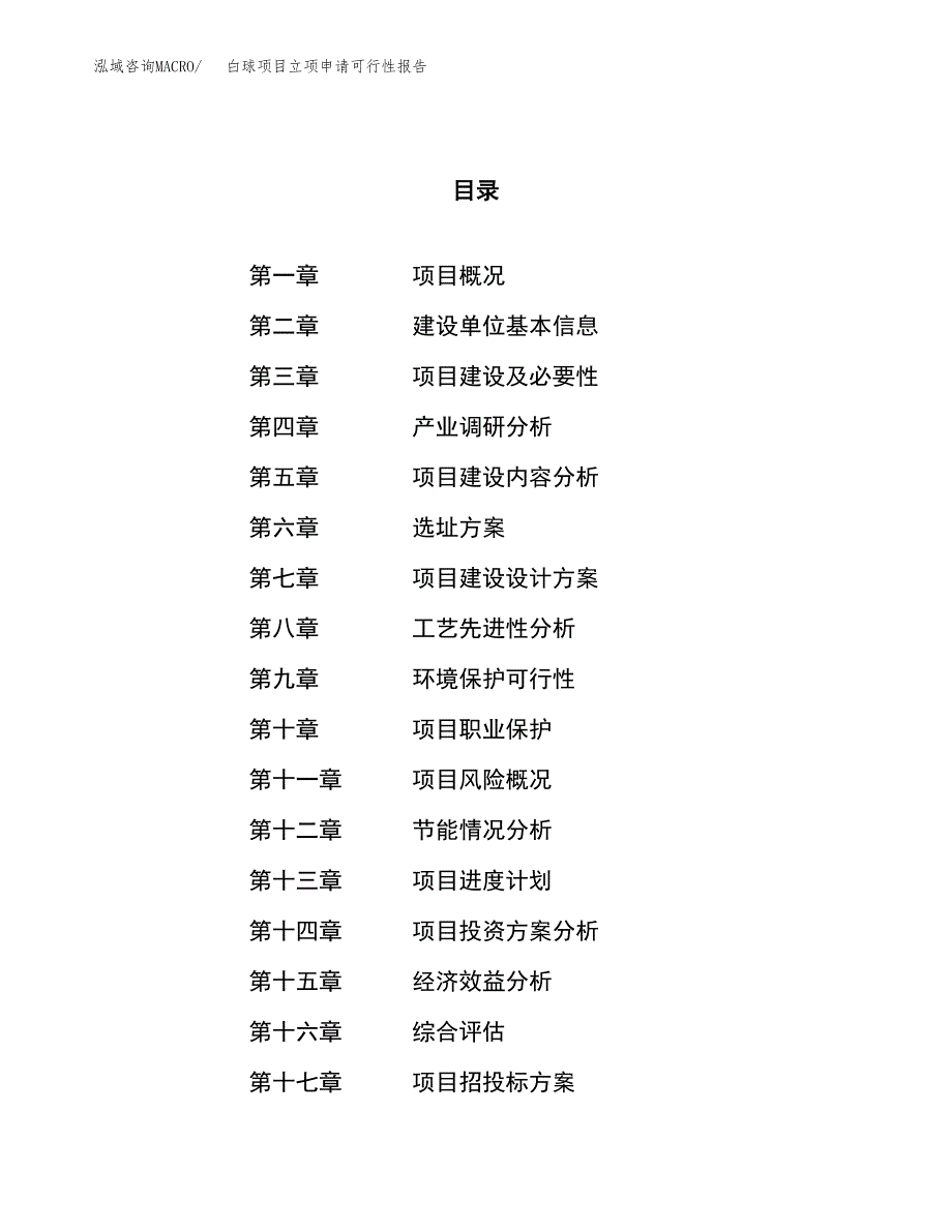 白球项目立项申请可行性报告_第1页