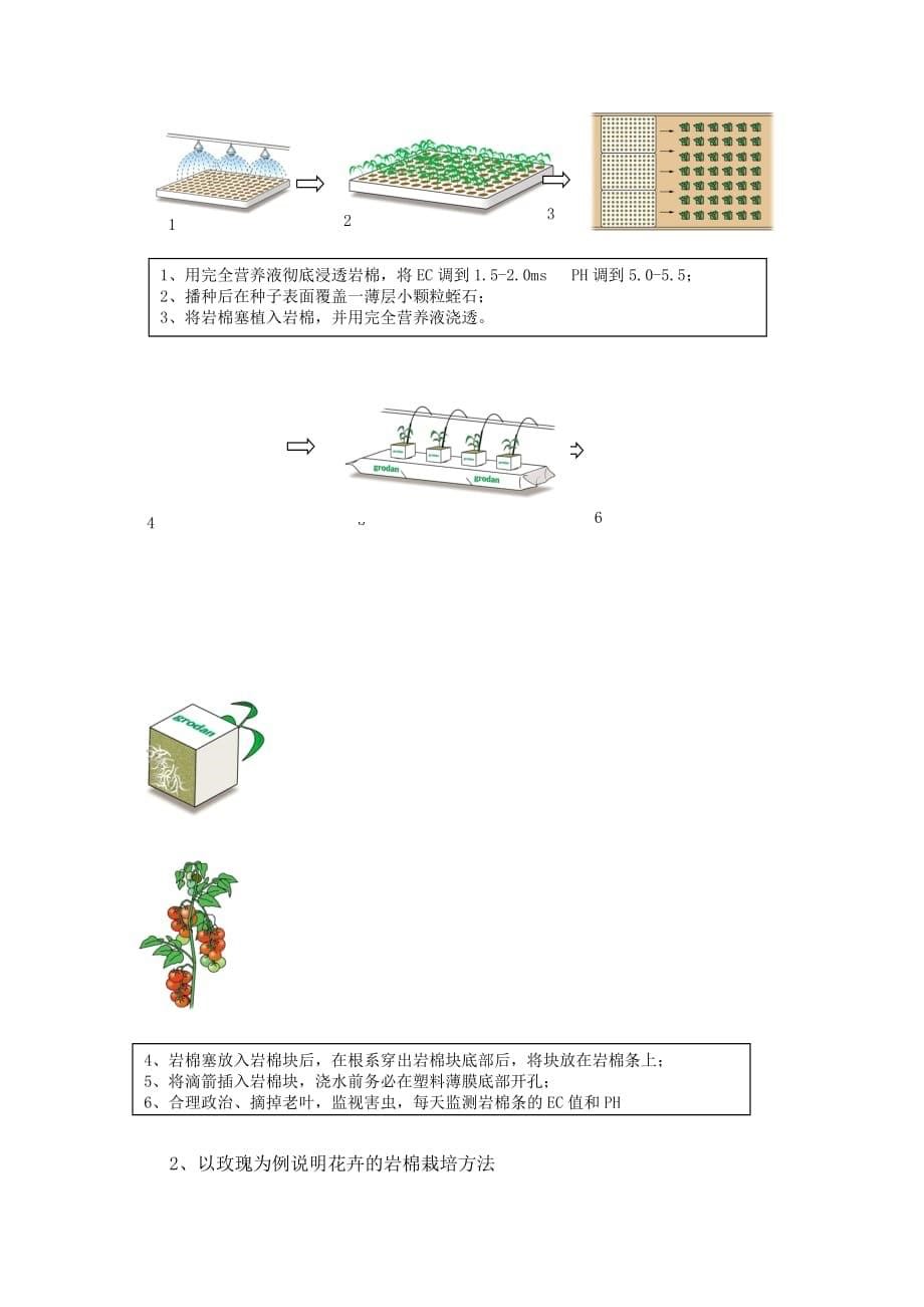 岩棉优质育苗及栽培技术应用指导_第5页