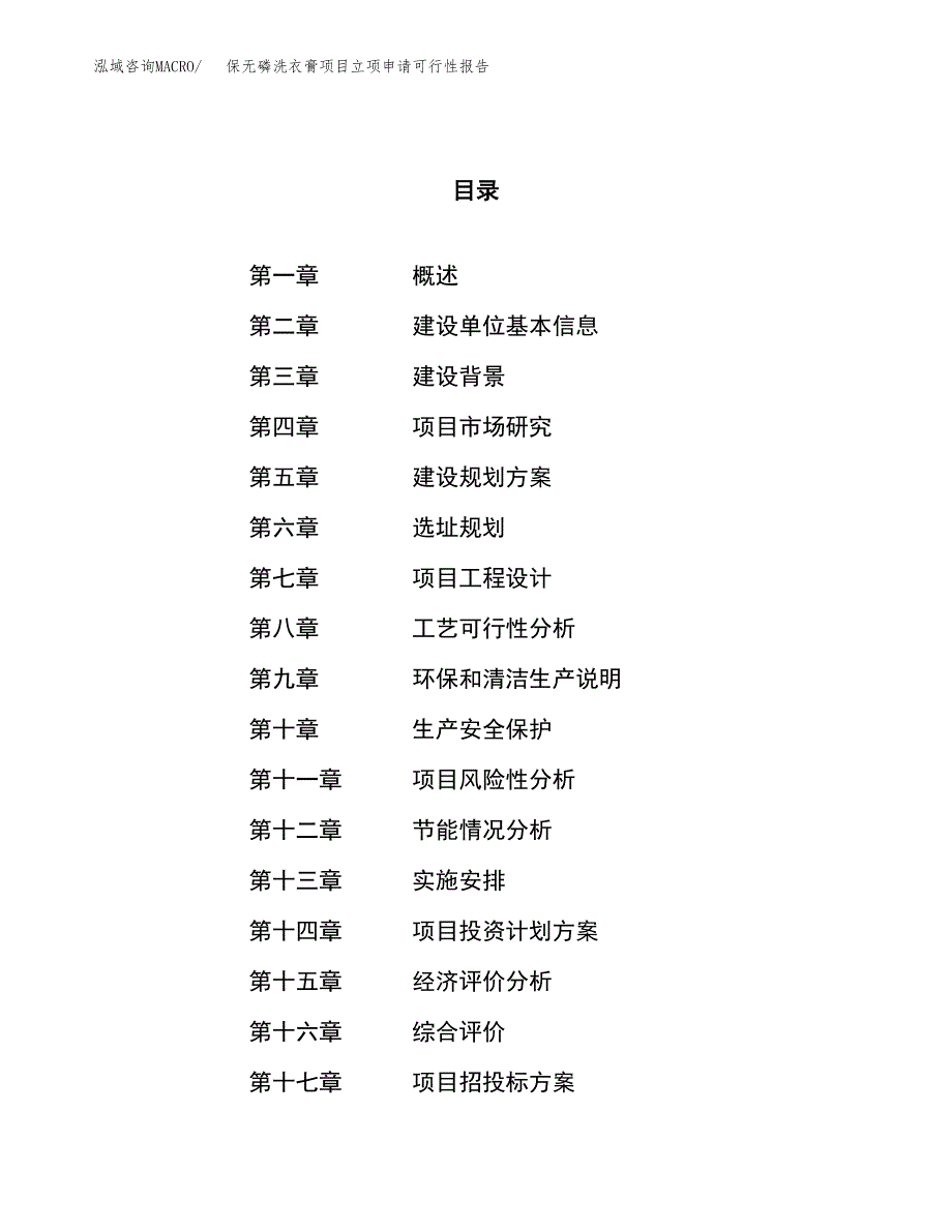 保无磷洗衣膏项目立项申请可行性报告_第1页