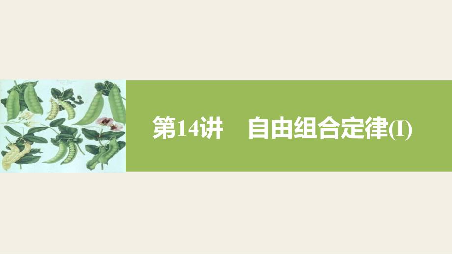 自由组合定律选考一轮复习资料_第1页