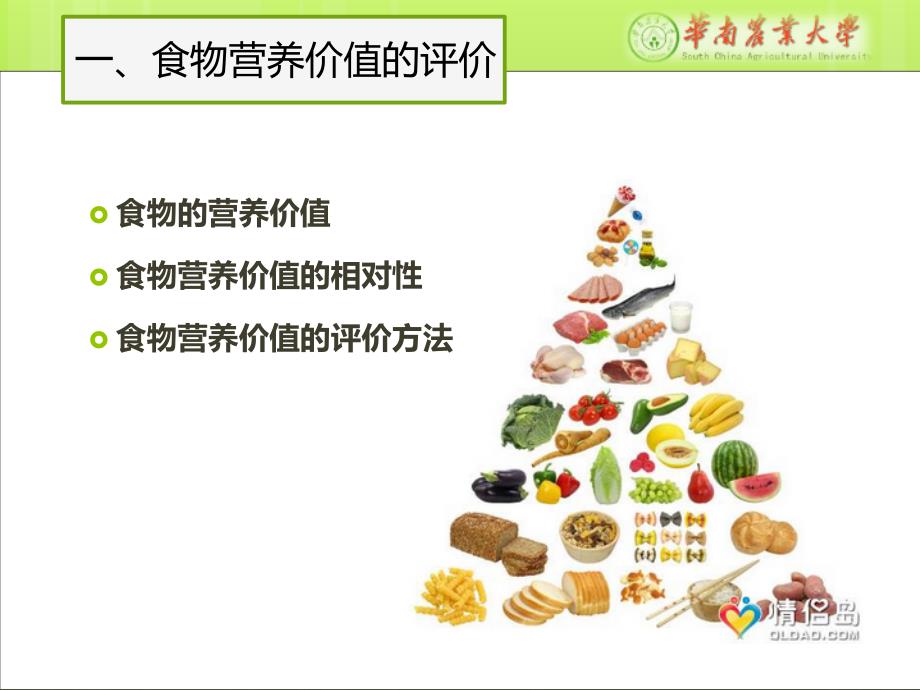 食品营养学第六章-各类食物营养资料_第4页