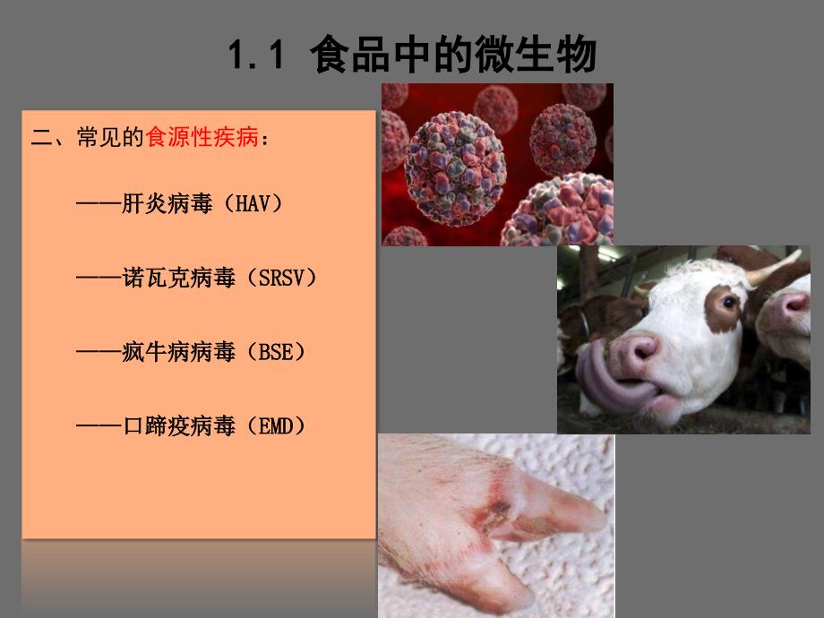 第1章-食品化学成分及其在保藏过程中的变化资料_第4页