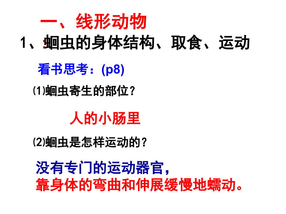 第二节线形动物和环节动物课件资料_第2页