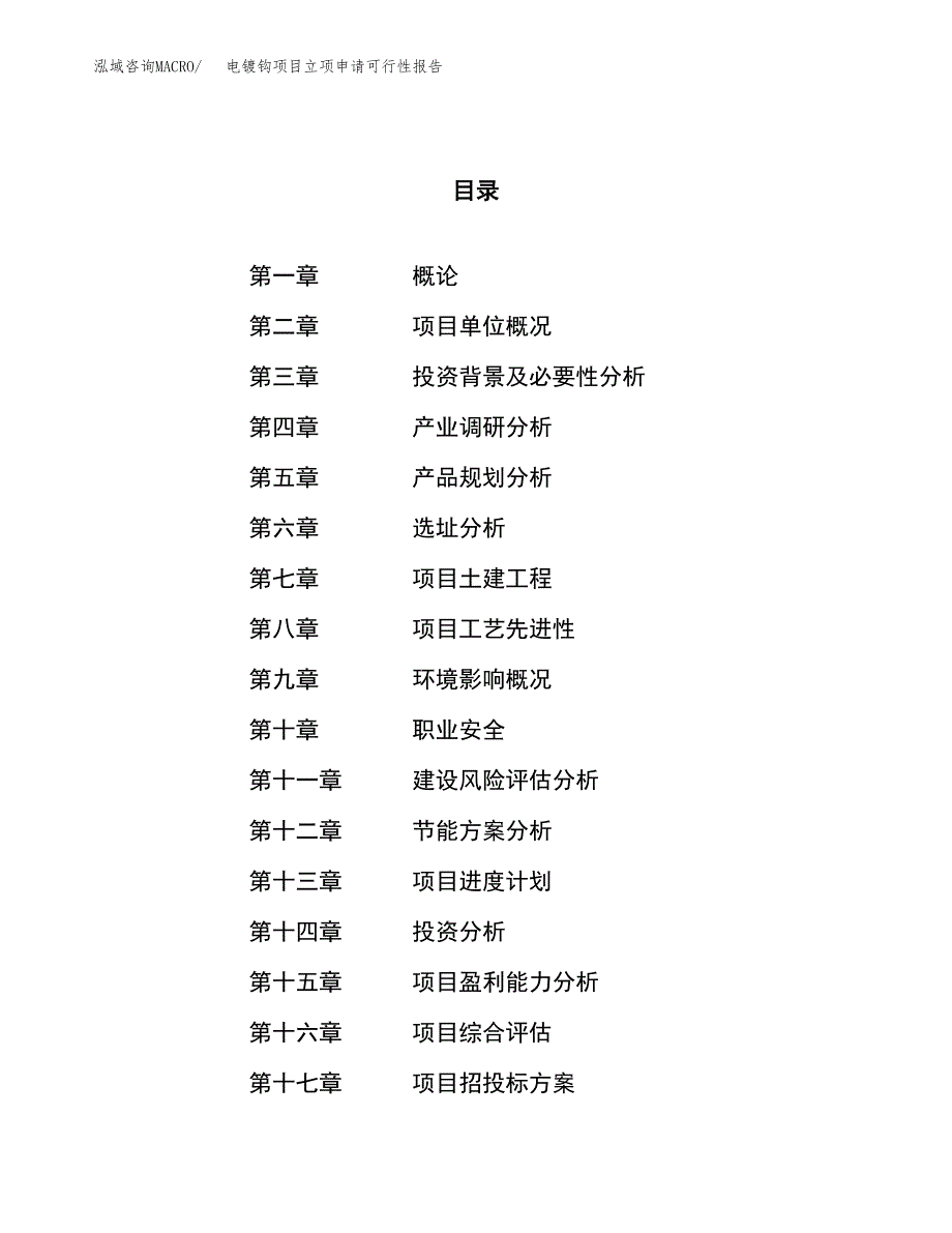 电镀钩项目立项申请可行性报告_第1页