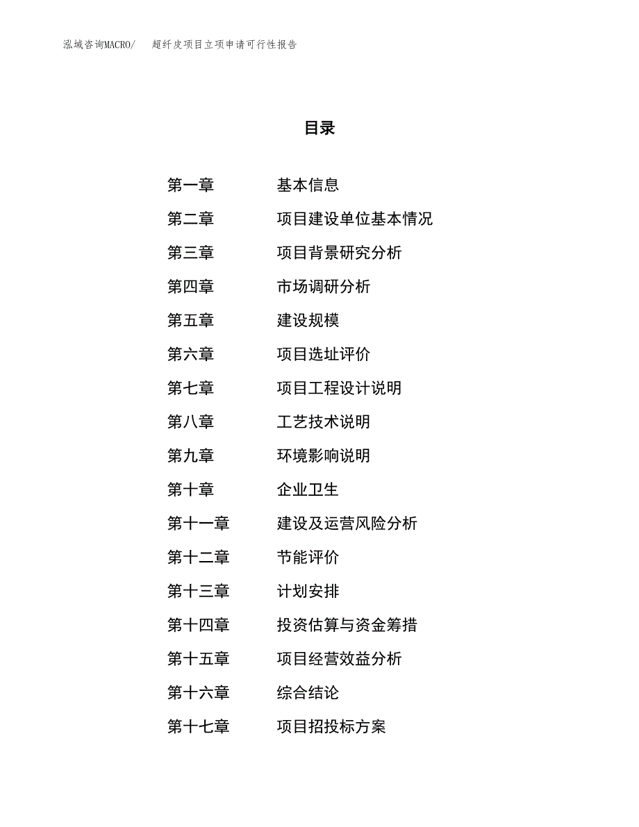 超纤皮项目立项申请可行性报告_第1页