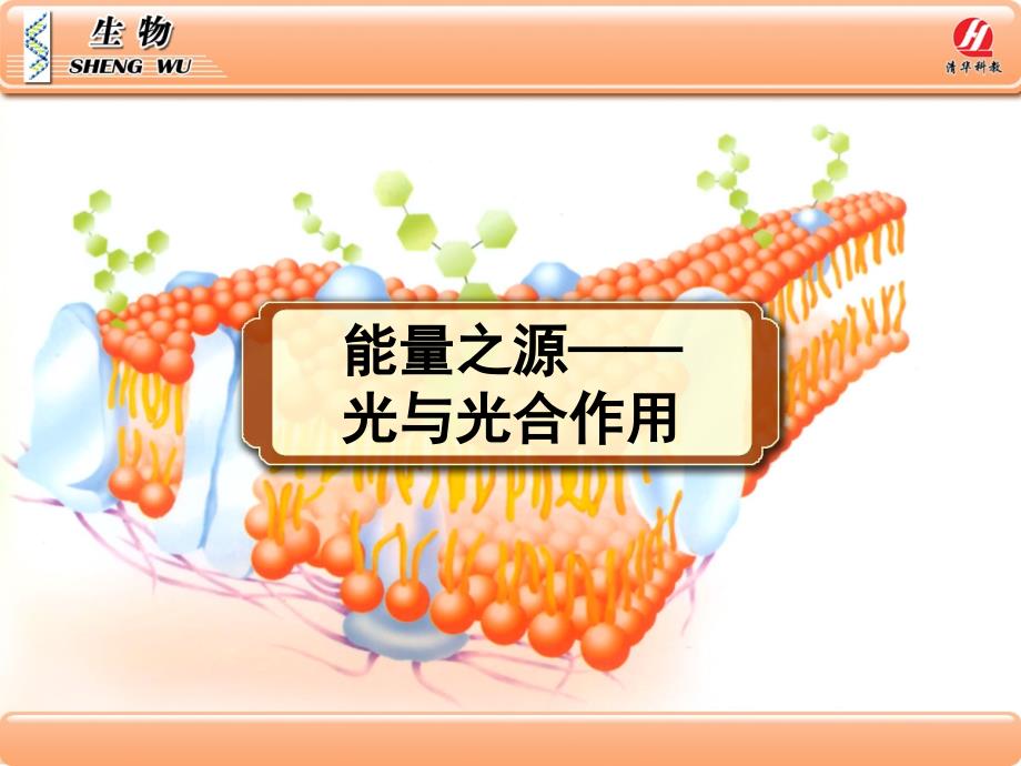 高中生物必修一--5.4能量之源——光与光合作用_第1页