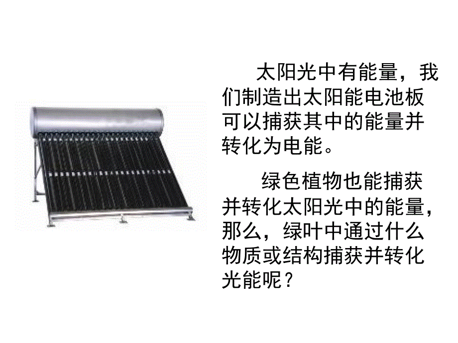 高中生物必修一--5.4能量之源——光与光合作用_第4页