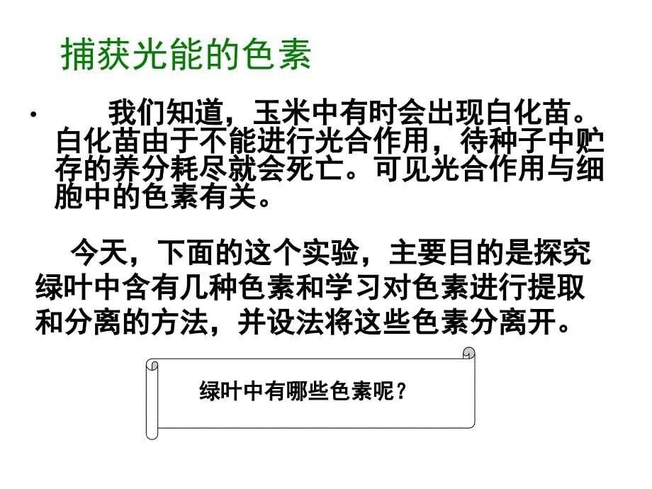 高中生物必修一--5.4能量之源——光与光合作用_第5页